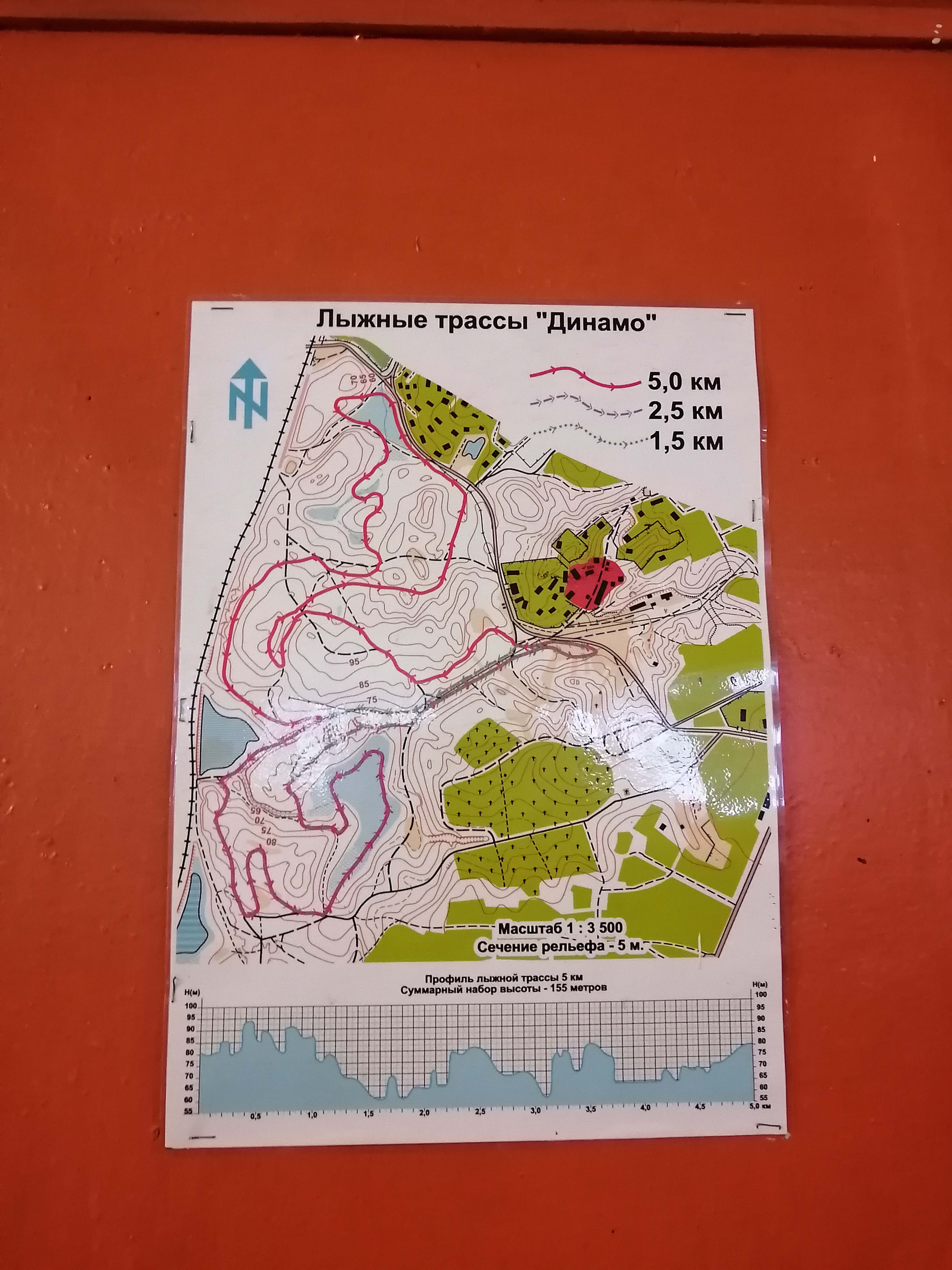 Фото Динамо