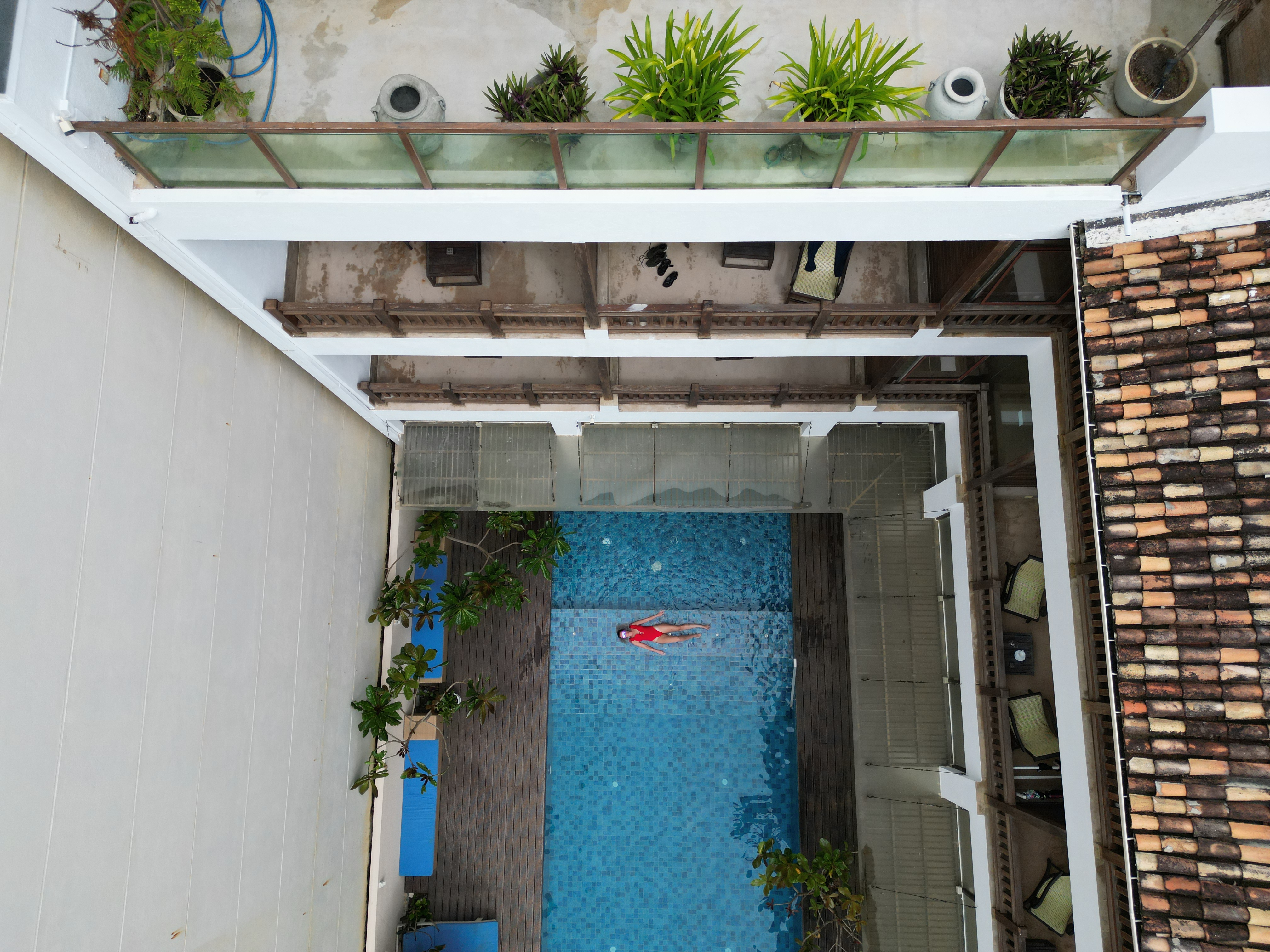 Фото Lucky Elephant