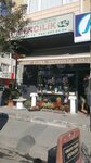 Orient Flora (Istanbul, Bagcilar, Yildiztepe Neighborhood, Bagcilar Avenue, 50B), flower shop