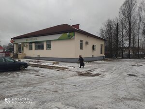 Сбербанк, улица Пионеров, 19 — Пестово
