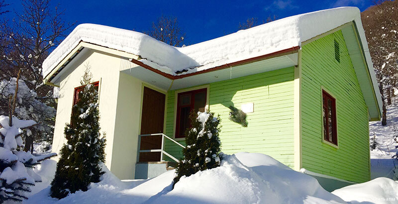 Фото Alva Hotel & SPA