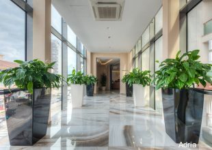 Фото Hotel Tq Plaza