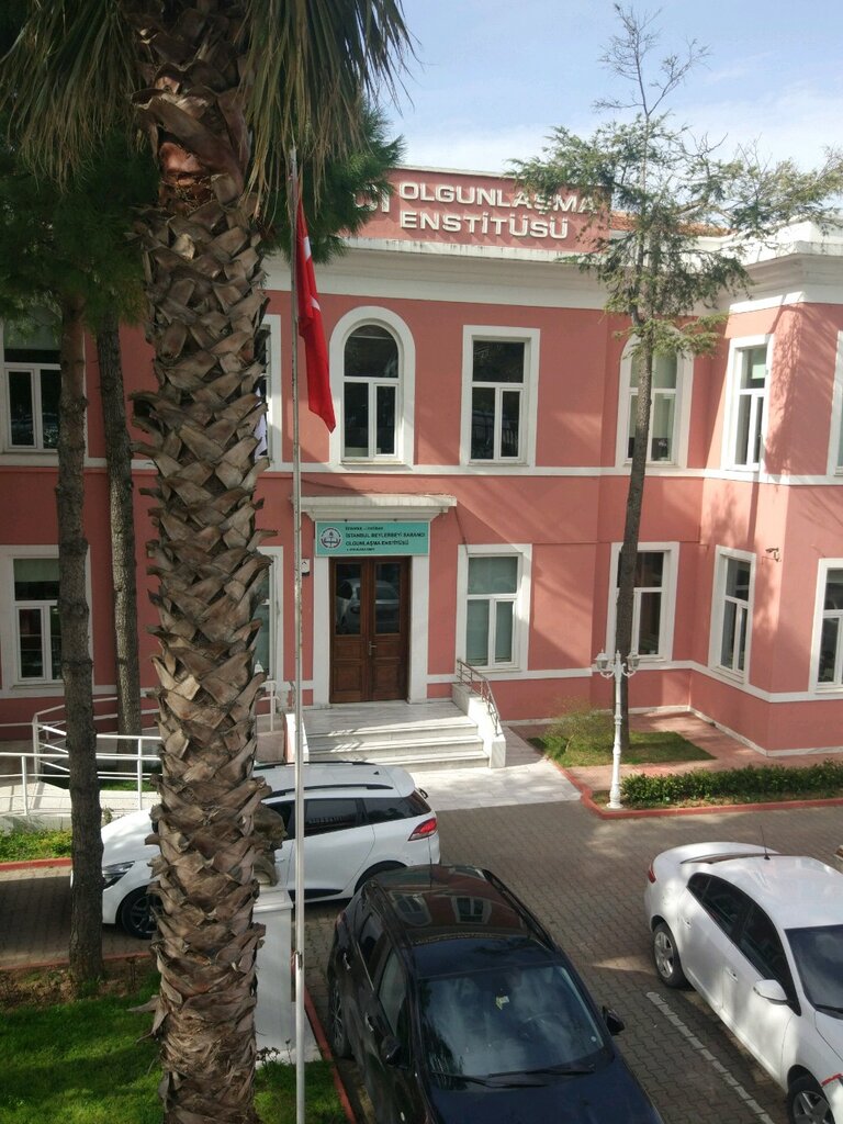 كلية، جامعة Istanbul Beylerbeyi Sabanci Maturation Institute ، اسطنبول، صورة