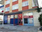 227 No. Betting Shop (Ankara Province, Kecioren District, Pinarbasi Neighborhood, Asya Street, 2) ، وكلاء رهان