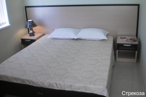 Фото Стрекоза