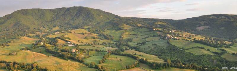 Фото Hotel Corallo Rimini