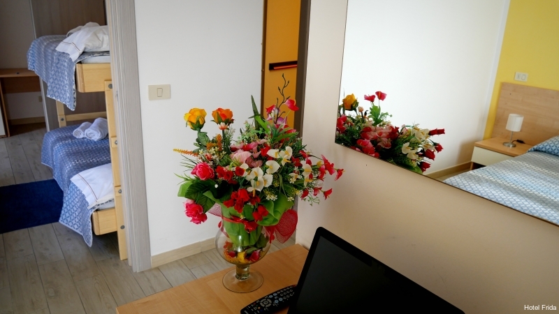 Фото Hotel Frida