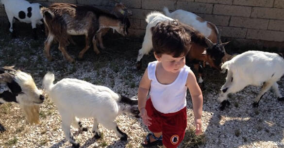 Фото Hotel Antibes