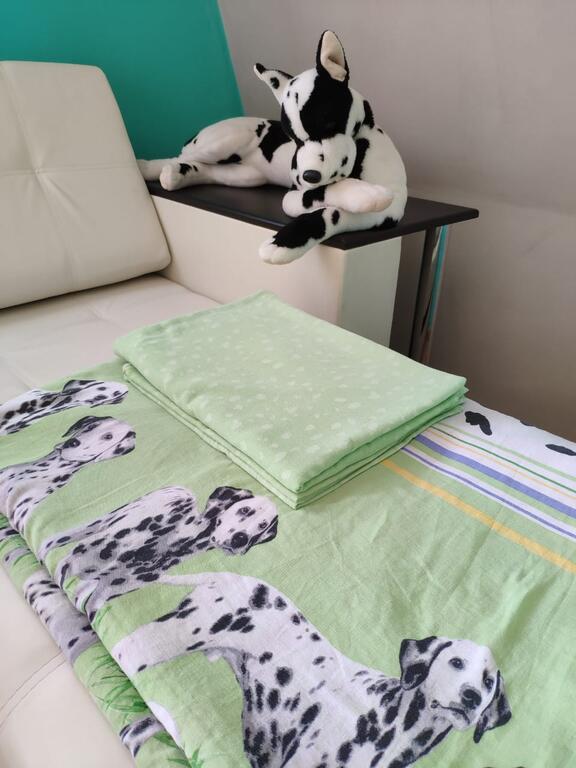 Фото Гостевой дом Анна