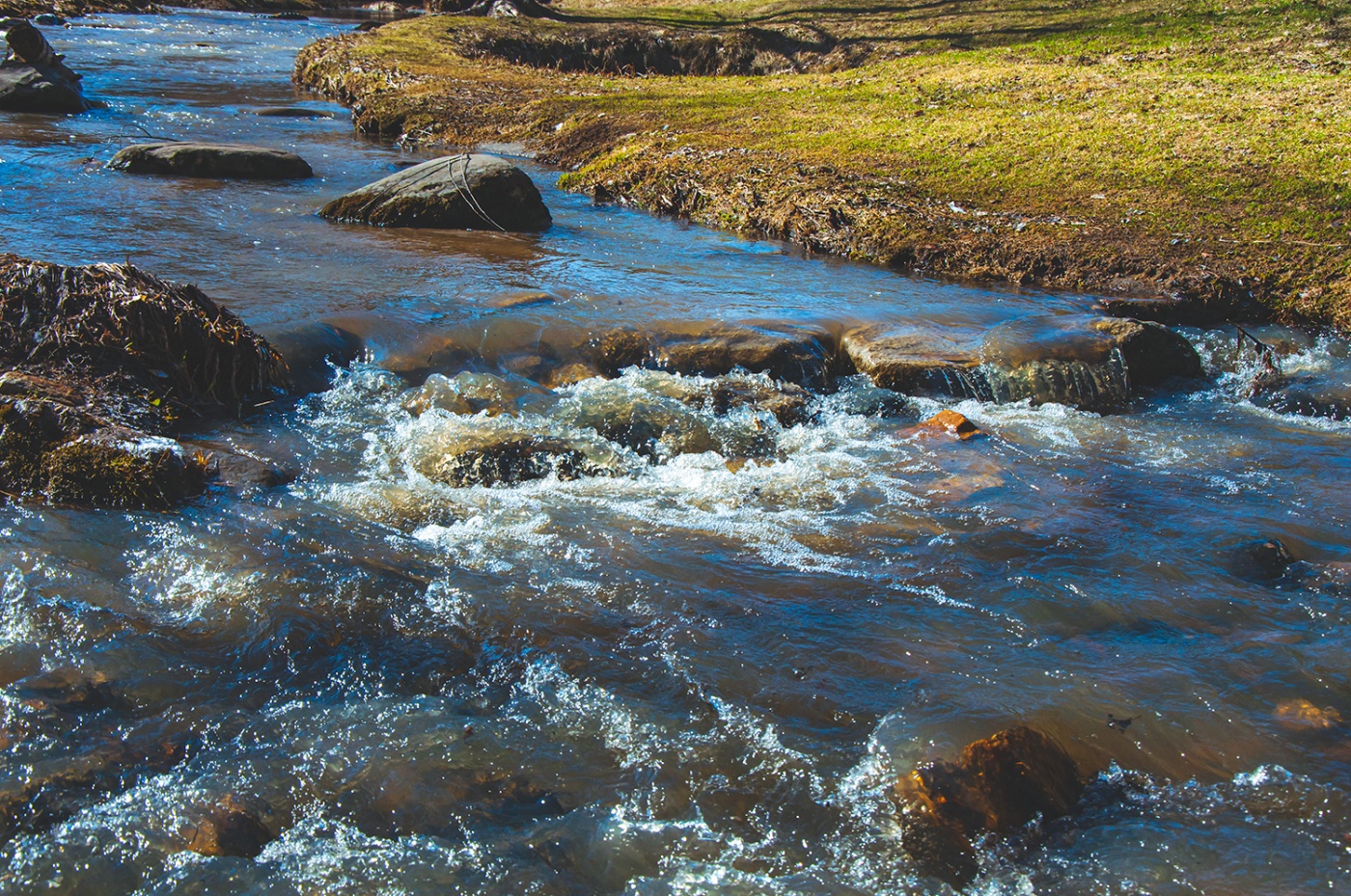 Фото Старые друзья Белокуриха