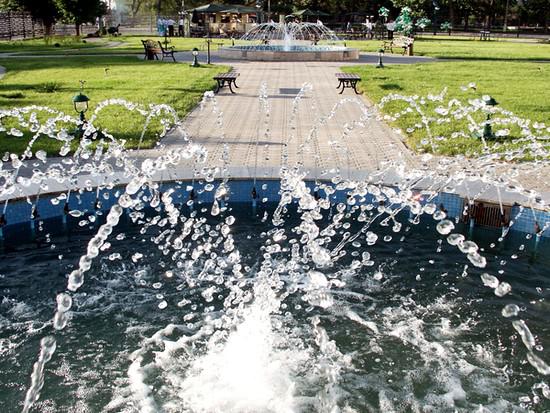 Фото Виктория Палас