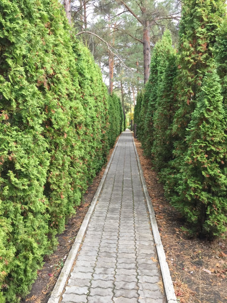 Фото Славянская деревня