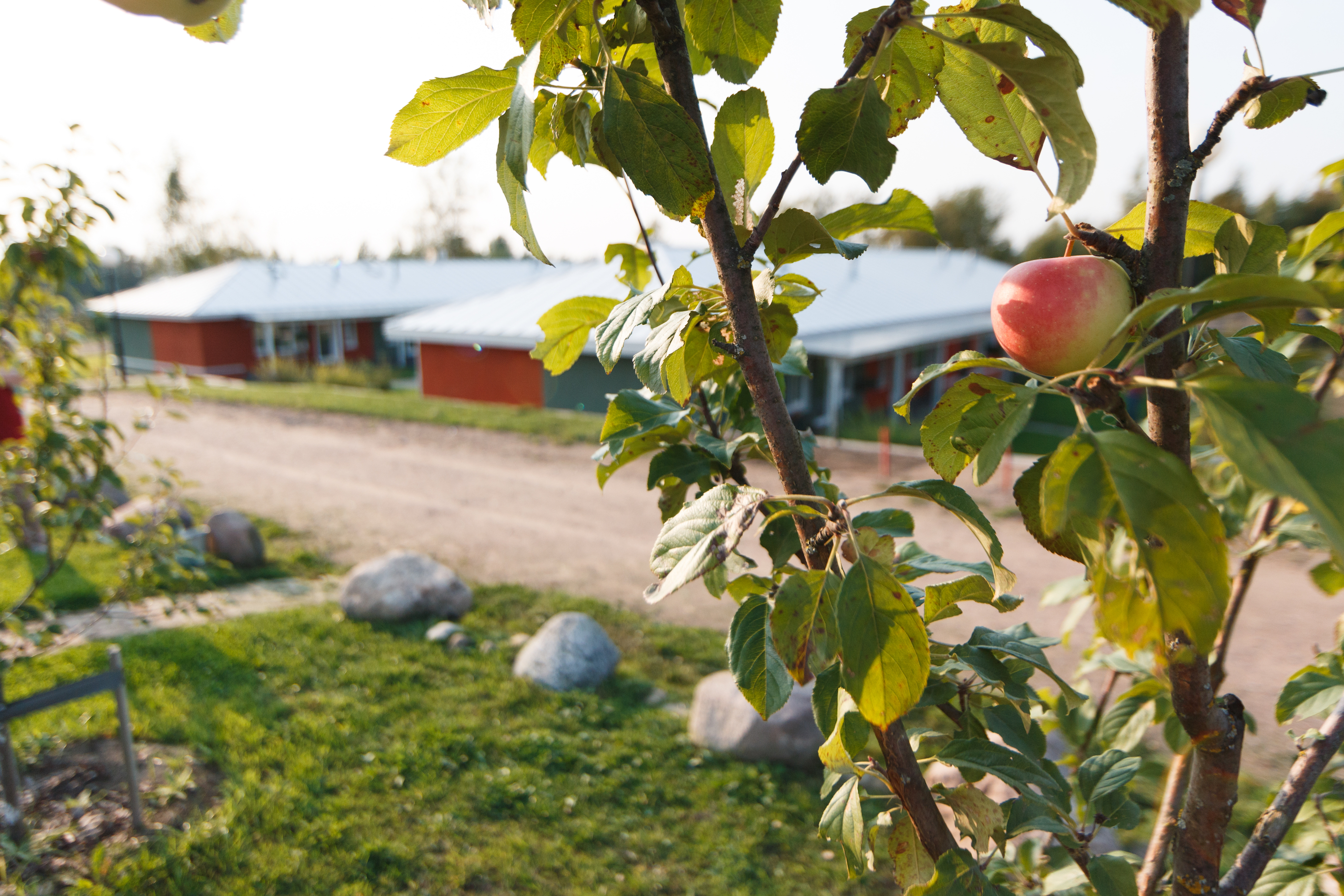 Фото Дачники