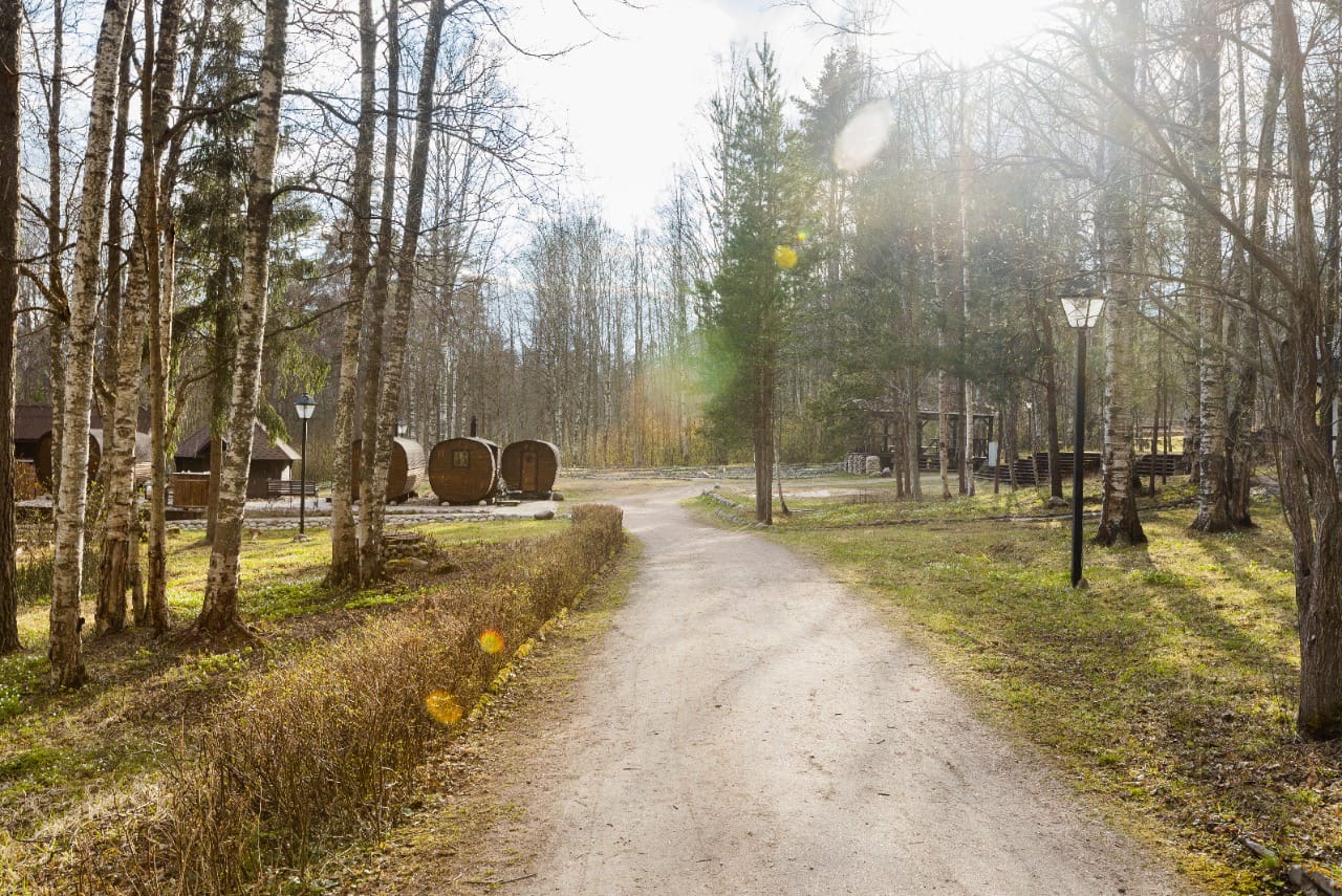 Фото Добрый Лось