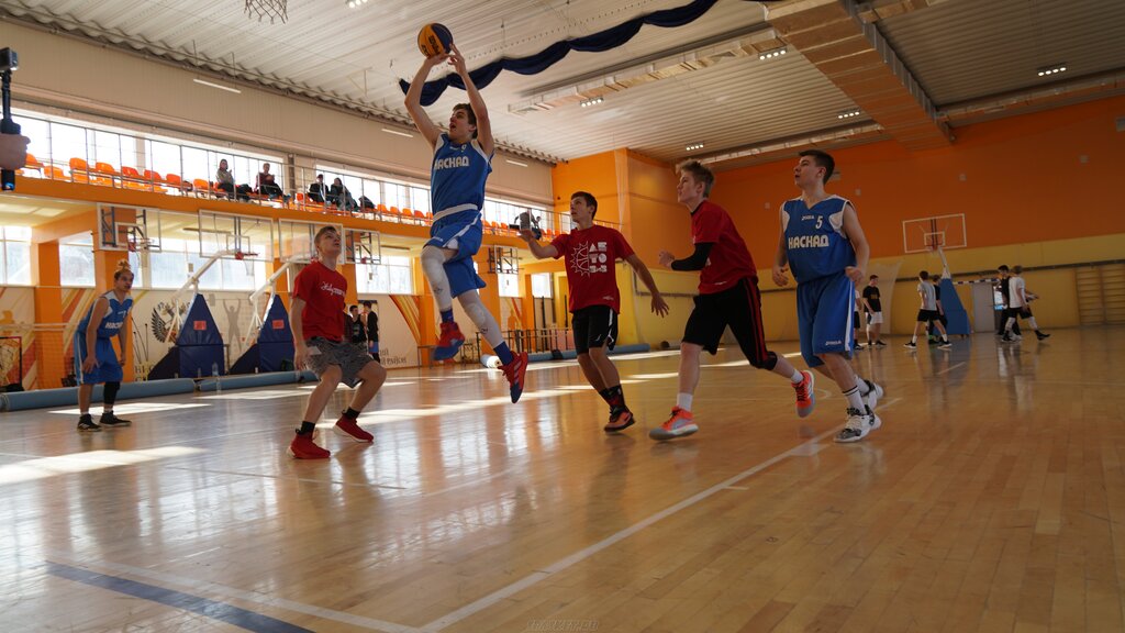 جمعية رياضية Basketball Federation Schelkovo ، ، صورة