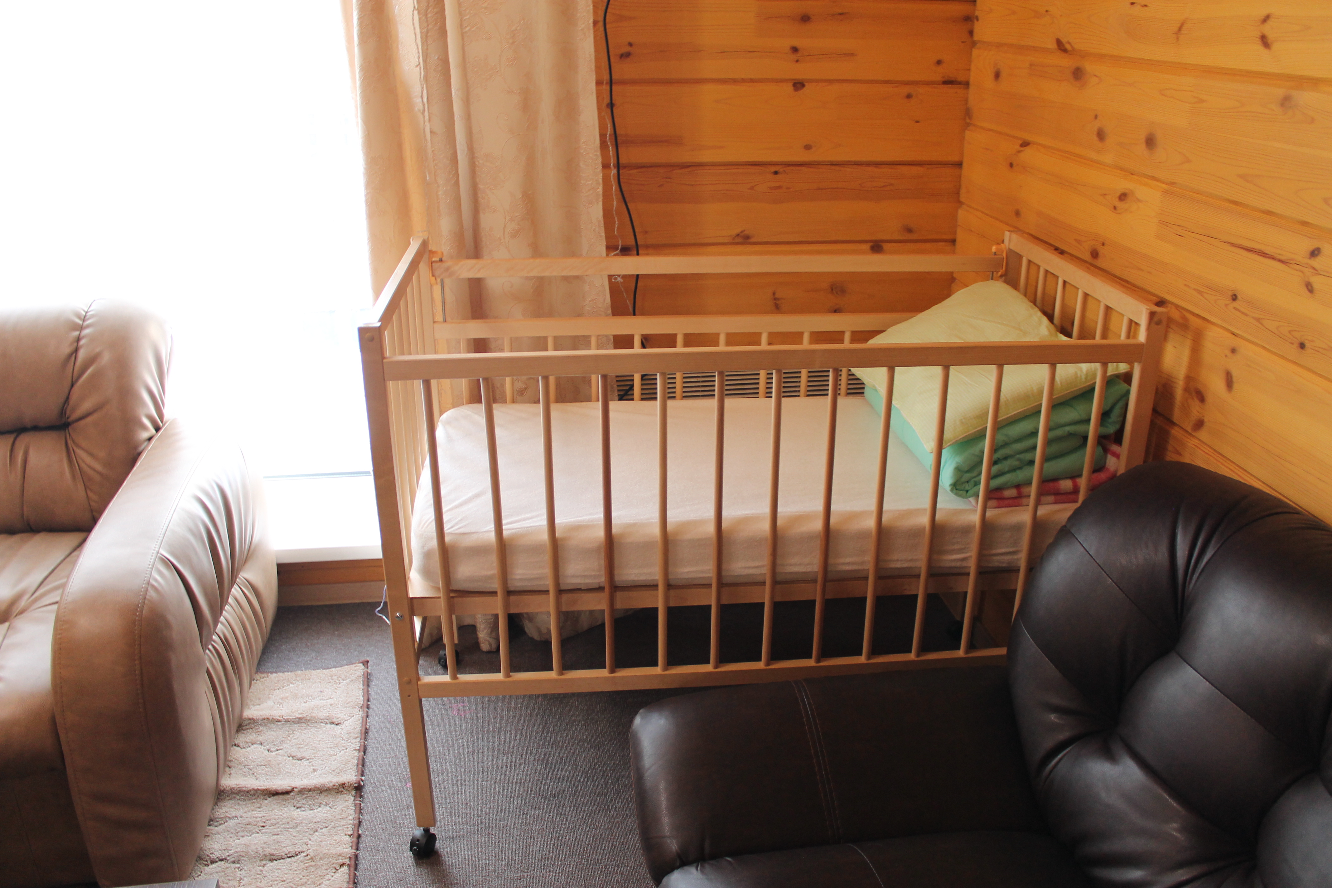 Фото Медведица