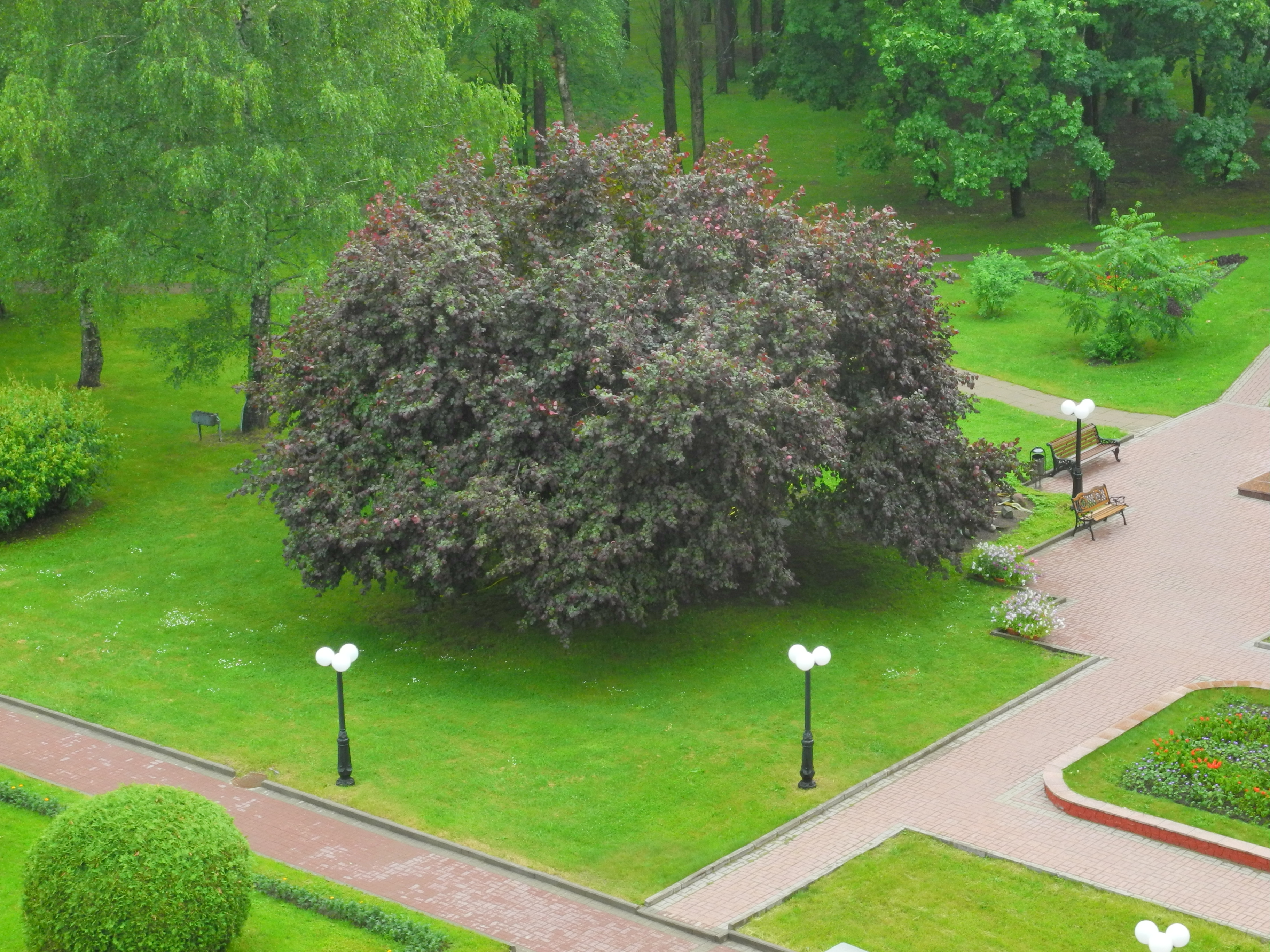 Фото Санаторий Пушкино