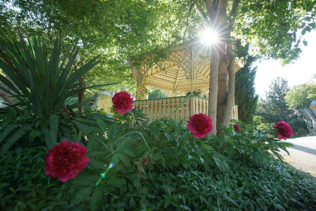 Фото Ай-Лия