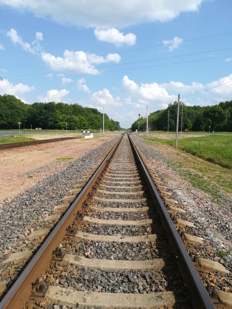 Railway station Railway station, Gomel District, photo