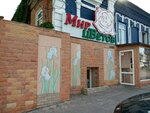 Mir tsvetov (Sokolovaya Street, 215), baldosas de cerámica