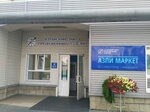 AZPI-Market (Kosmonavtov Avenue, 6/2), auto parts and auto goods store