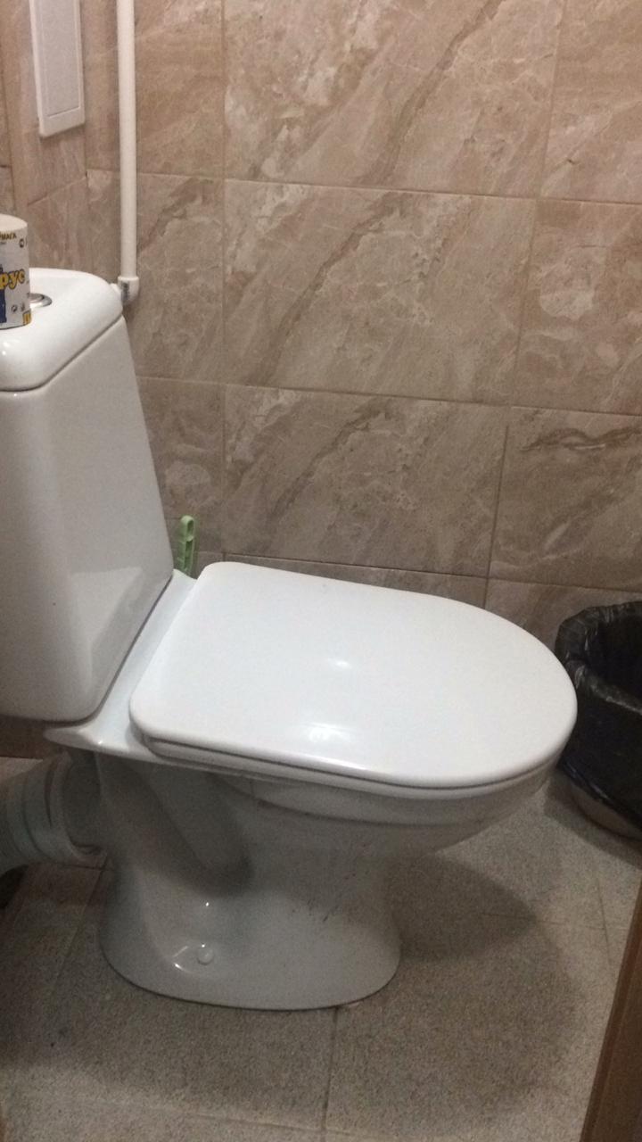 Фото Галина-чайка