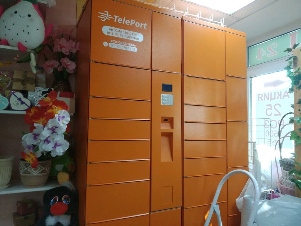 Parcel automat ТелеПорт, Saint Petersburg, photo