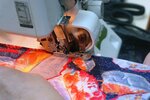С иголочки (ул. Решетникова, 3), ремонт одежды в Санкт‑Петербурге