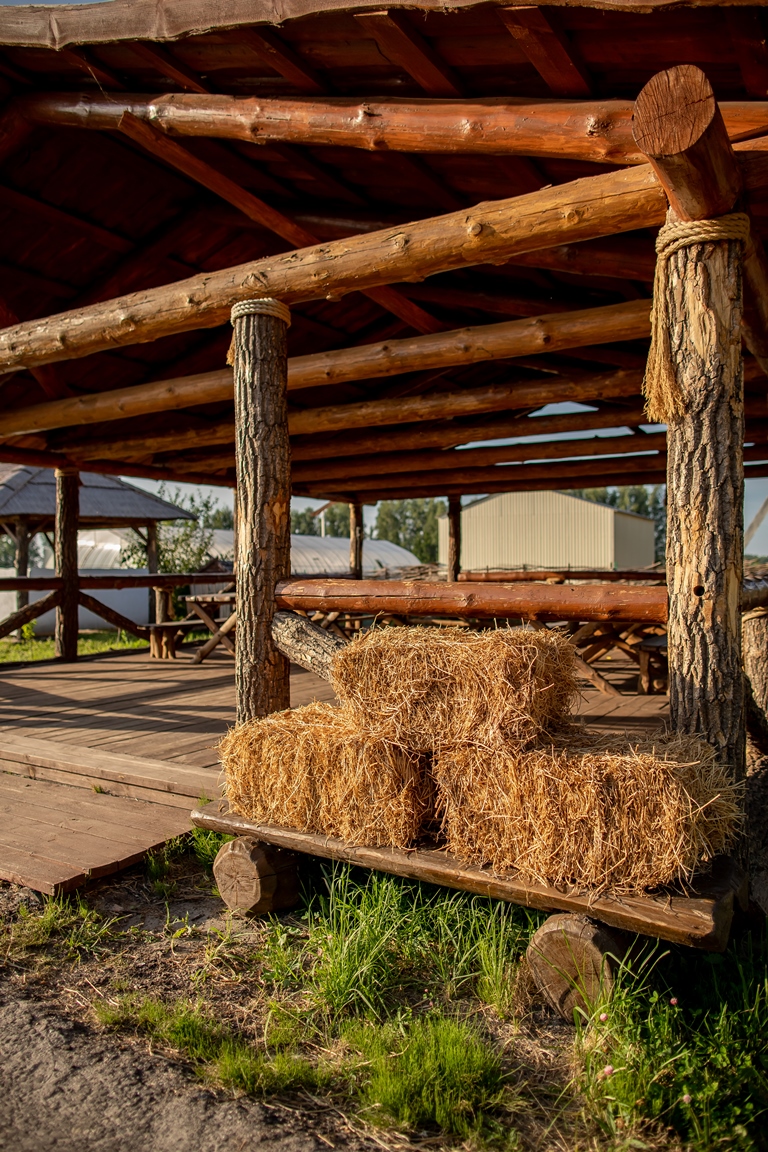 Фото Своя ферма