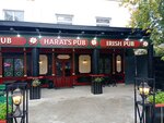 Harat’s pub (Dalnevostochnaya ulitsa, 216В) ، حانة، بار