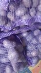 Фермерские овощи (Bystrinskaya ulitsa, 13), invernadero