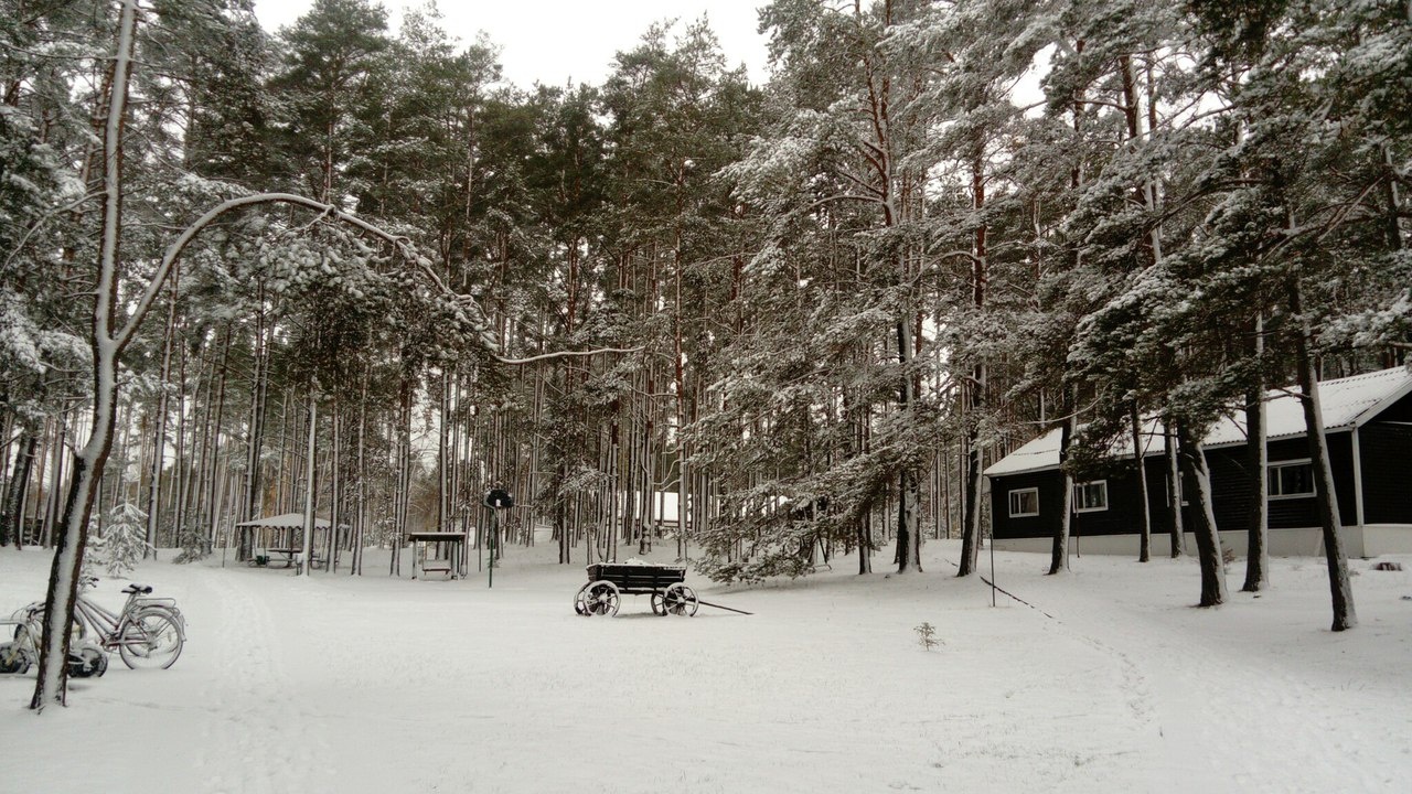 Фото Лукоморье