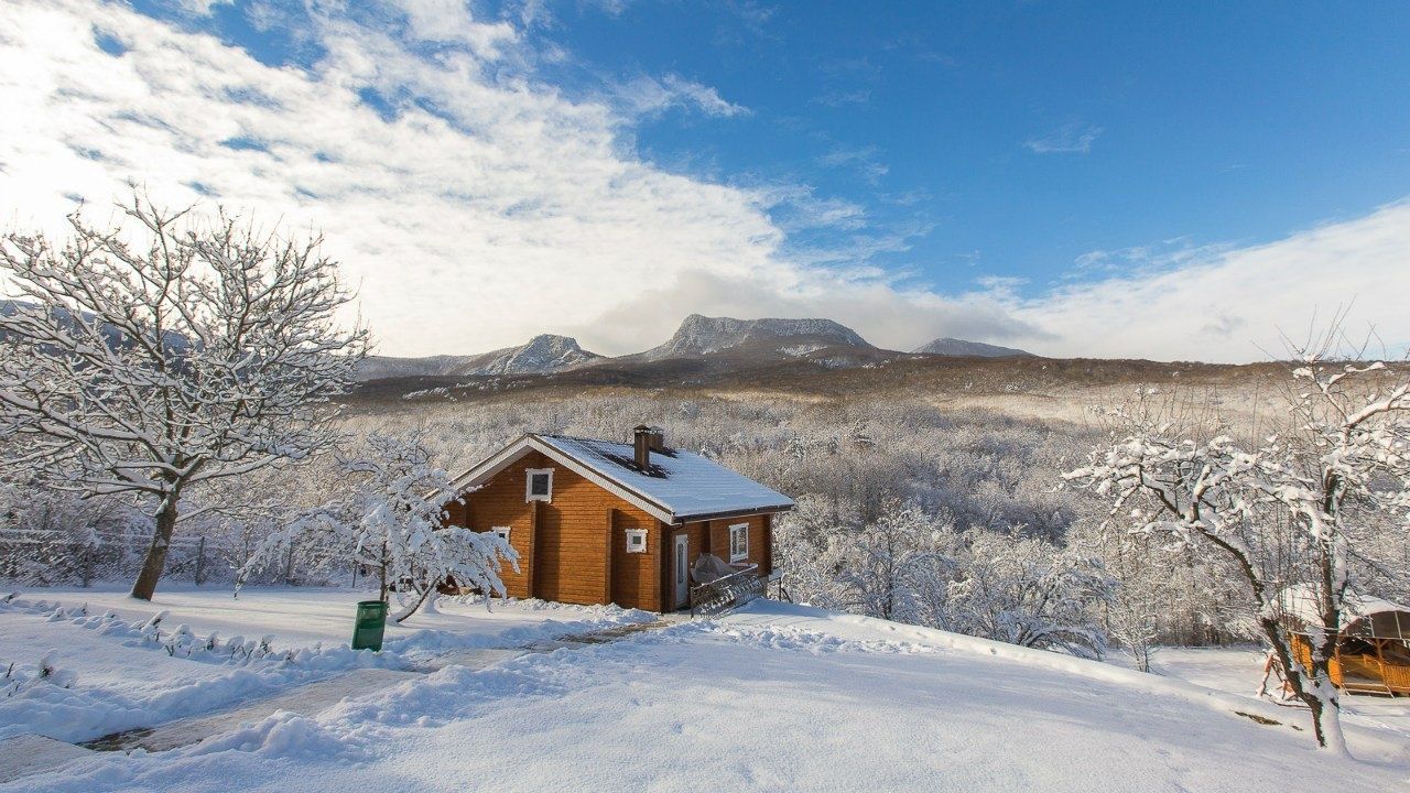 Фото Пальмира