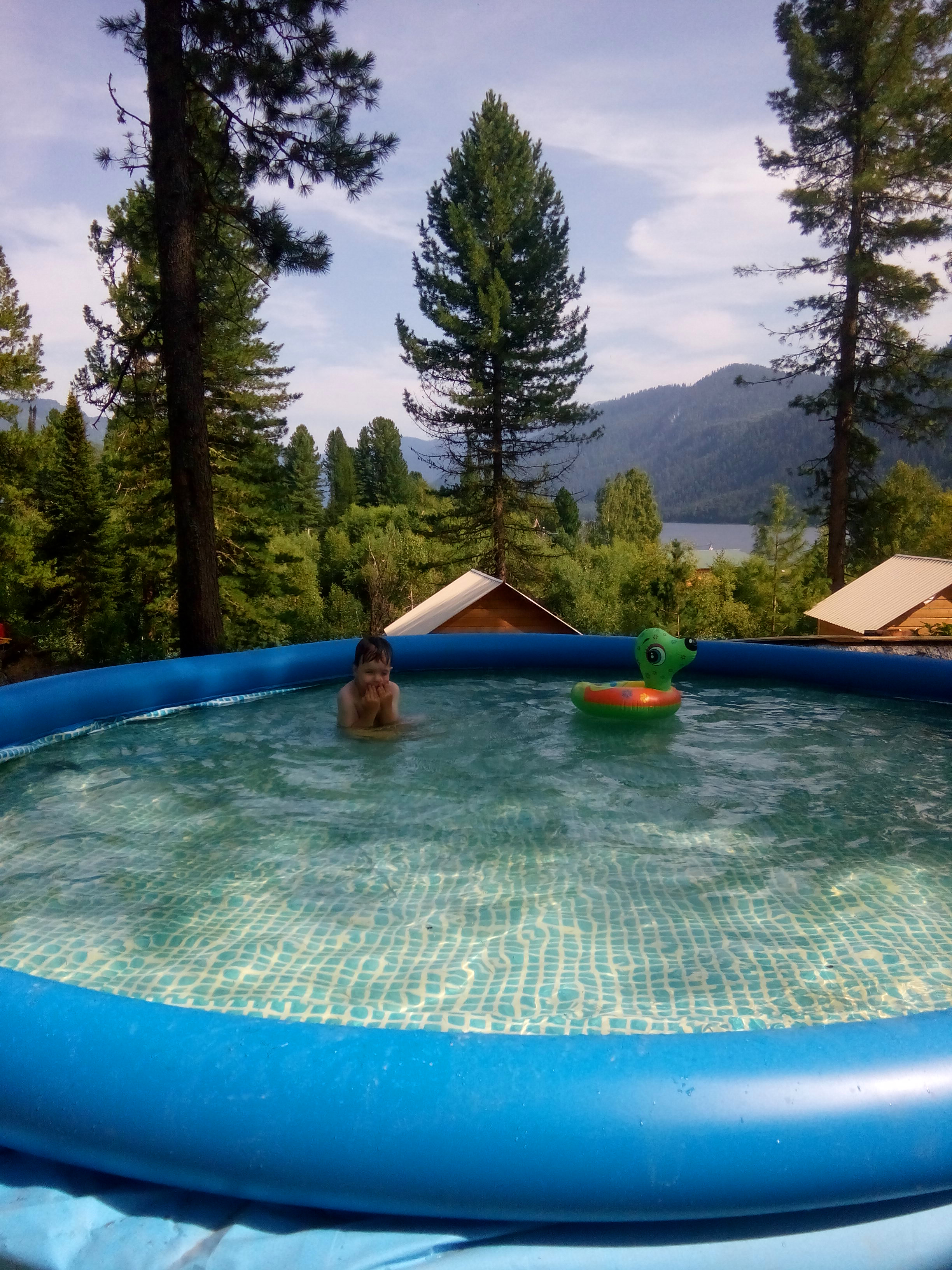 Фото Кедровый берег