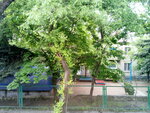 МБДОУ № 37 Аленушка детский сад (ул. Мира, 69, Пятигорск), детский сад, ясли в Пятигорске
