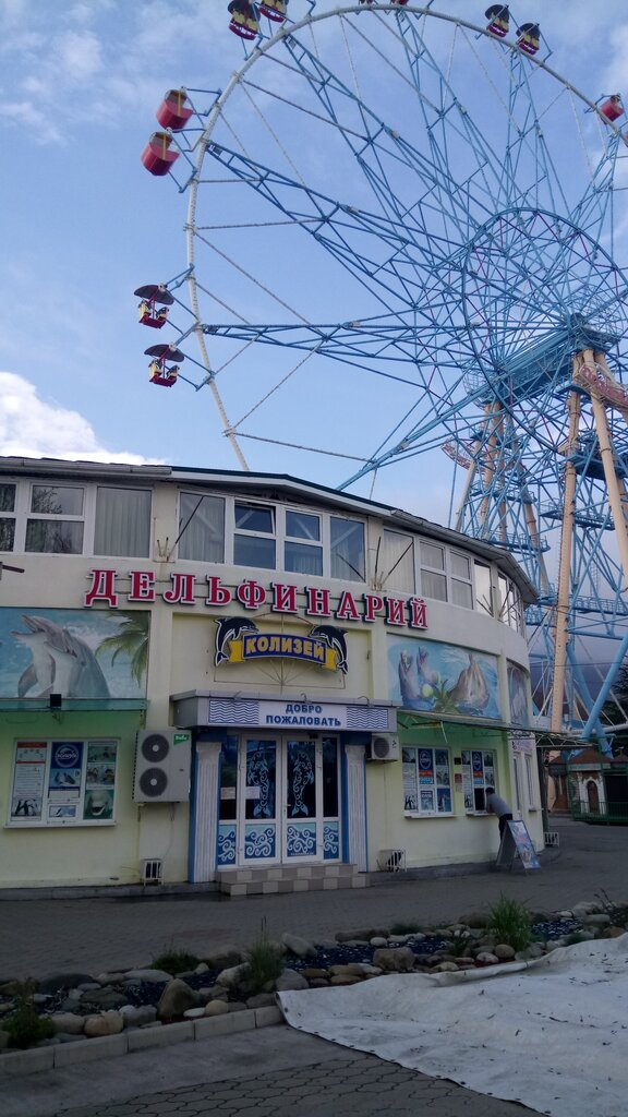 Dolphinarium Colosseum, Sochi, photo