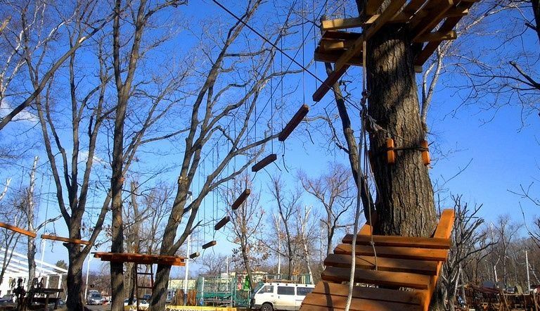 Фото Лесная поляна