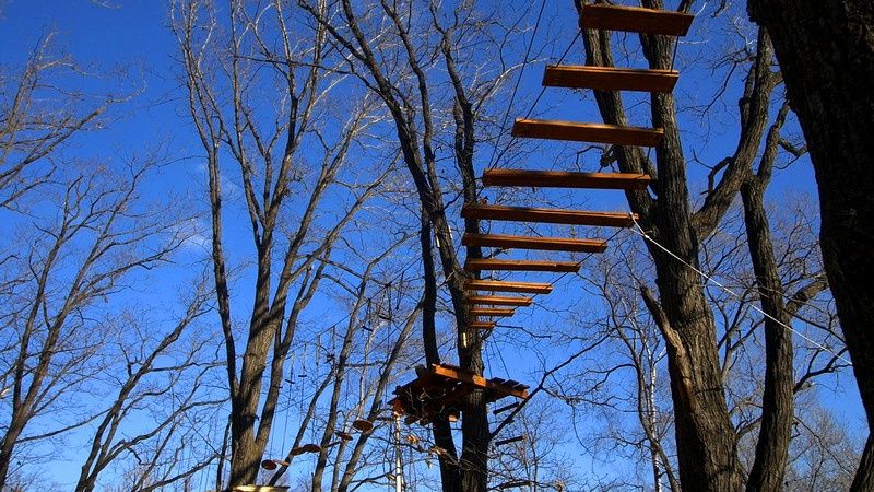 Фото Лесная поляна