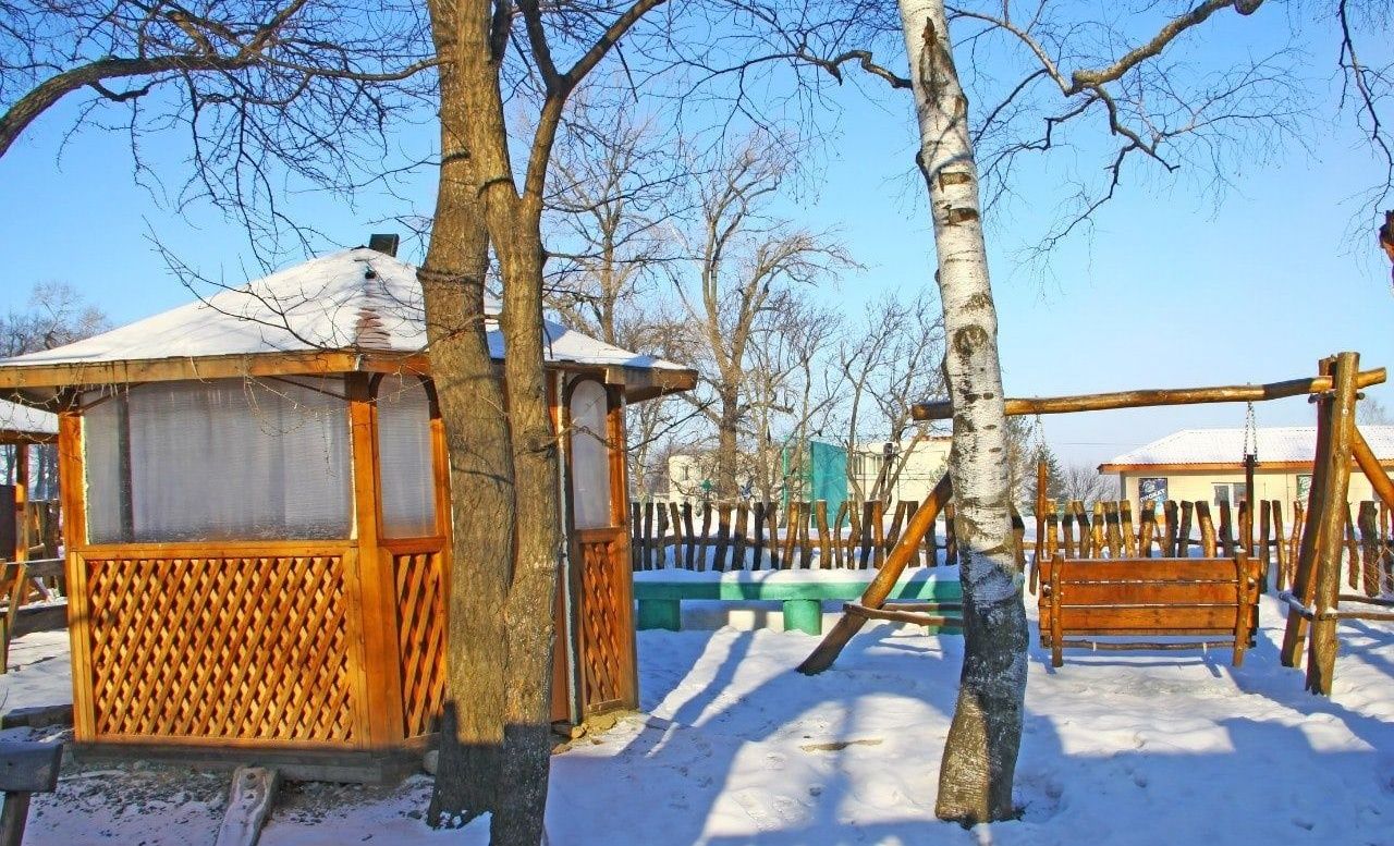 Фото Лесная поляна