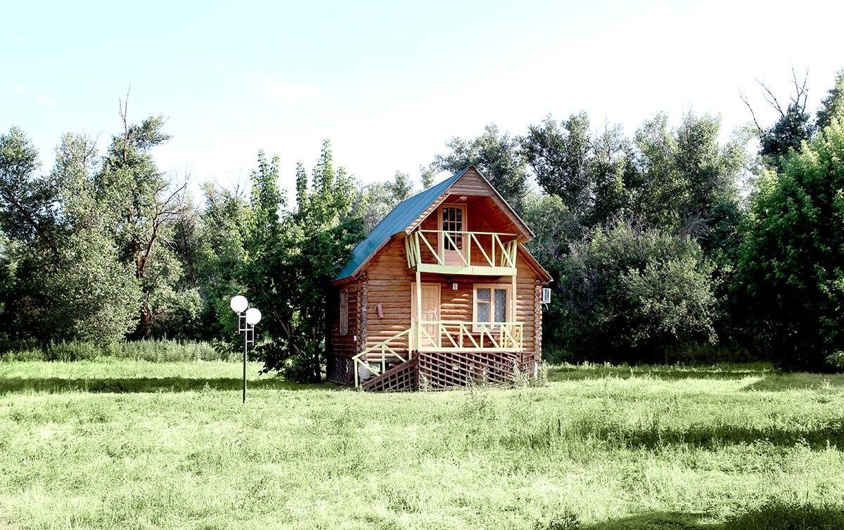 Фото Гремучий