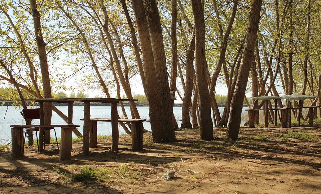 Фото Гремучий