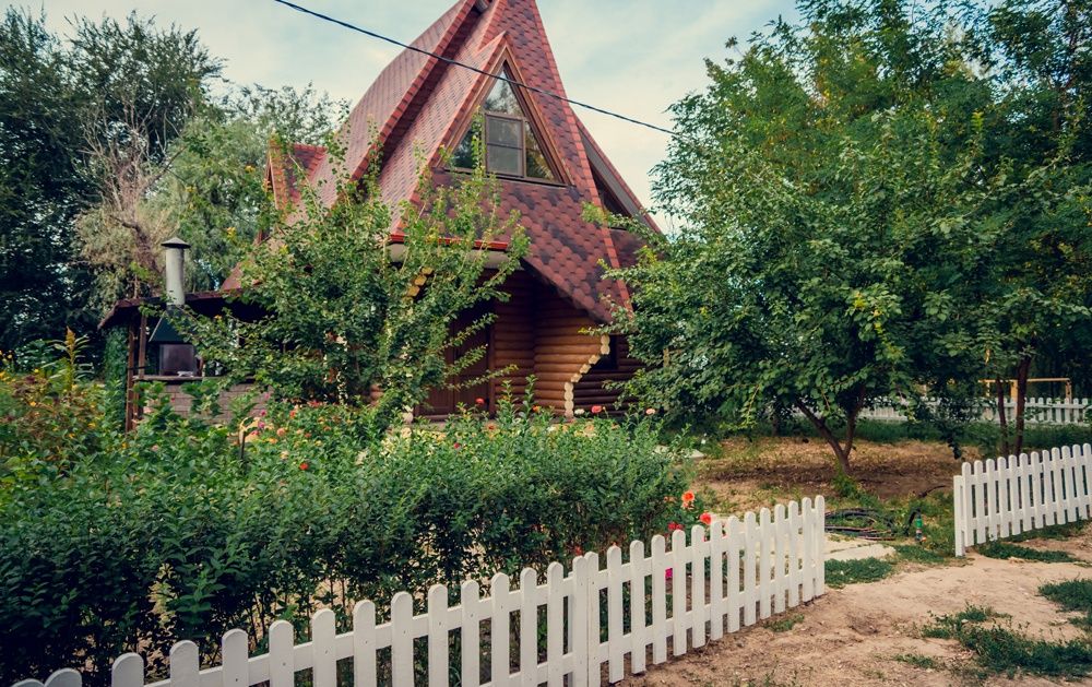 Фото Росинка