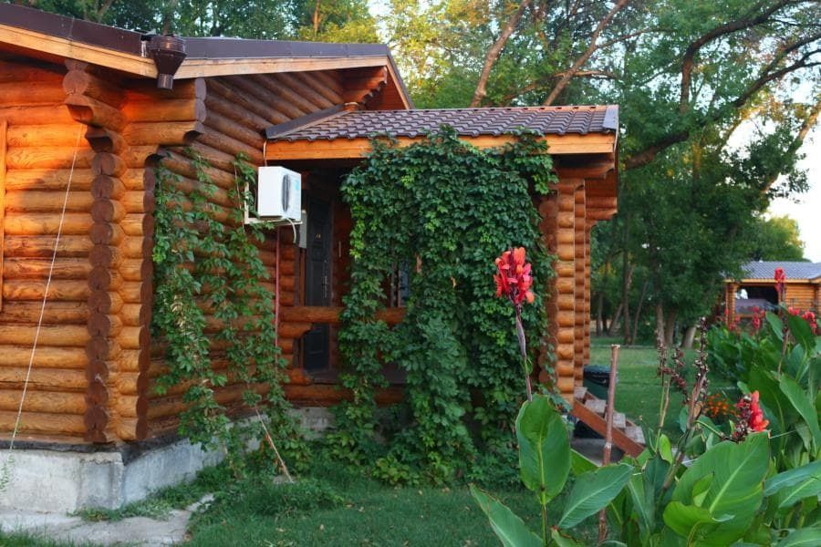 Фото Лесная