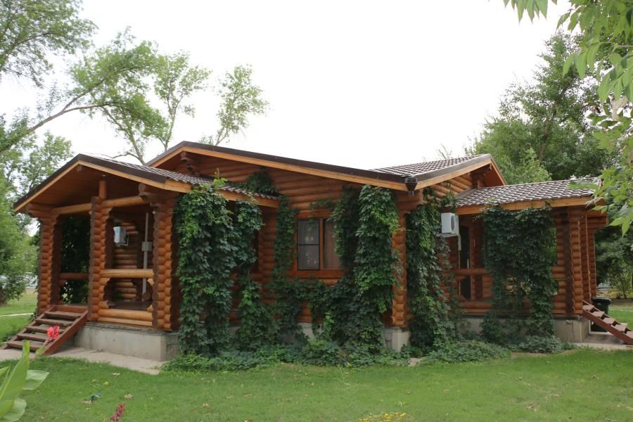 Фото Лесная