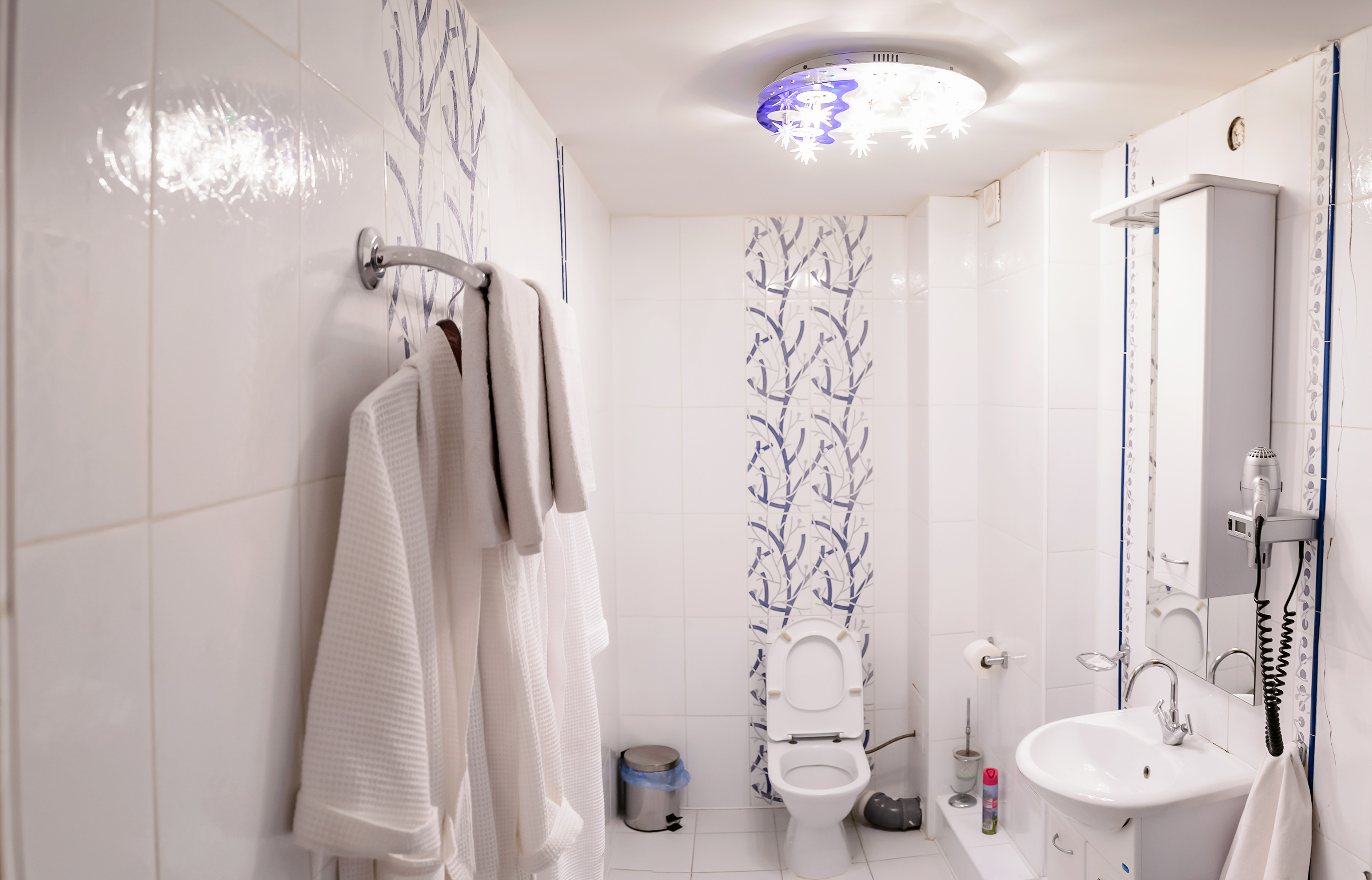 Фото Астерия