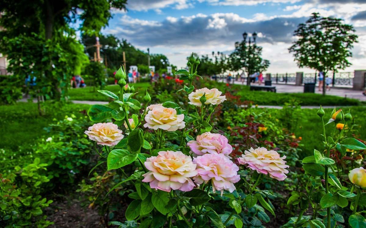 Фото Каменка