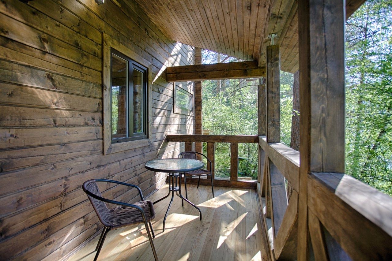 Фото Брусника