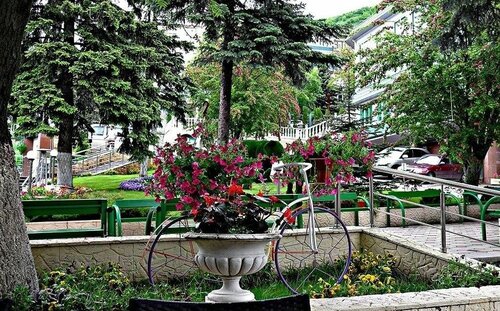 Пятигорский нарзан  фото 3