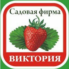 Садовый Магазин Виктория Официальный Сайт