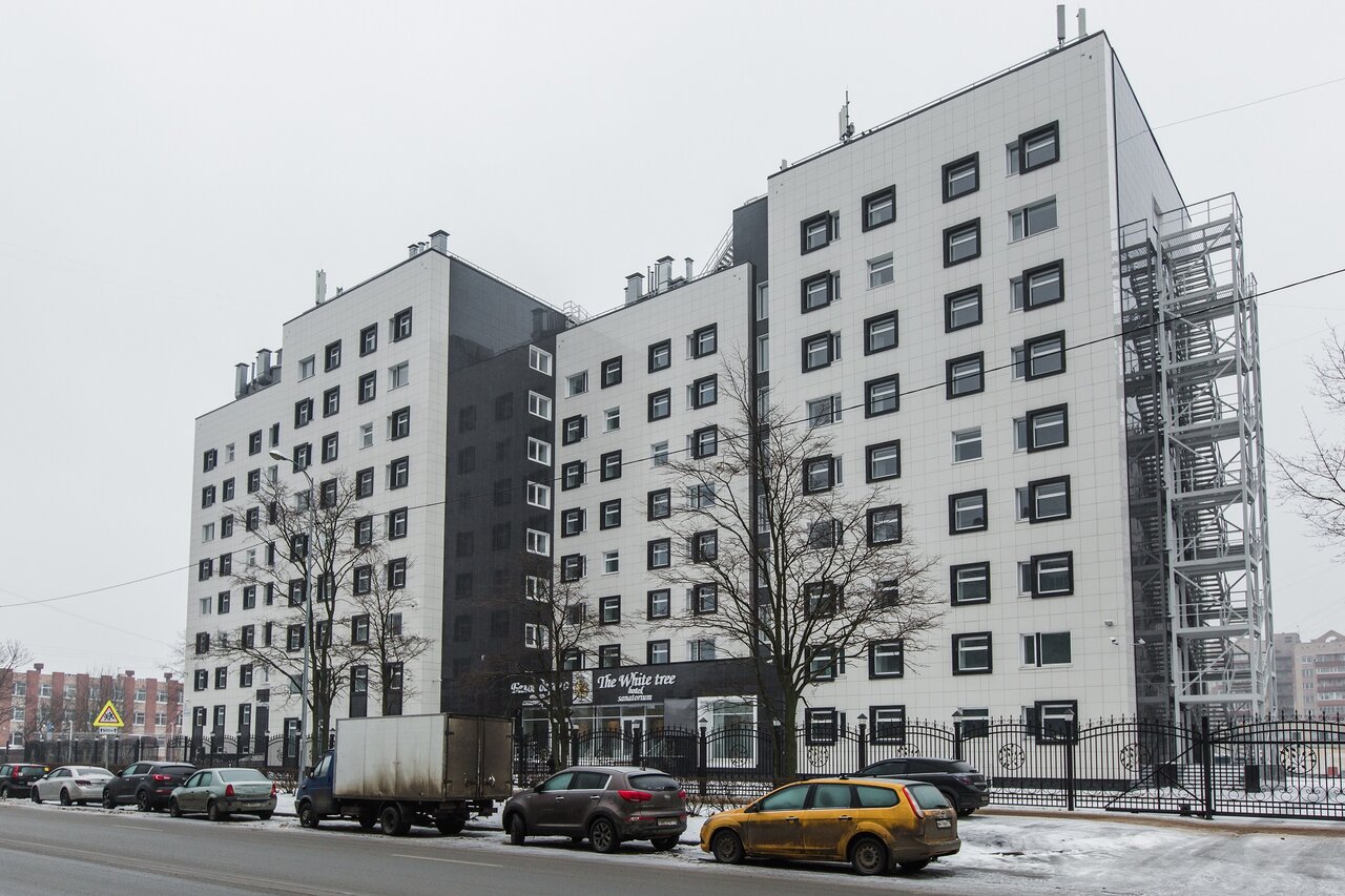 Отель белое дерево санкт петербург карта